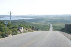 6-00 AM Tuesday - Labrador Rush Hour.jpg