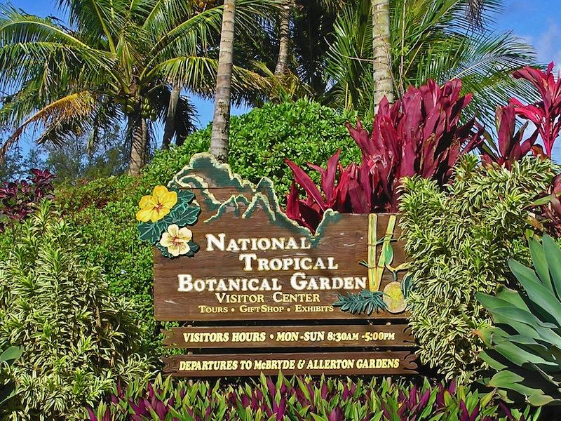 National Tropical Botanical Garden