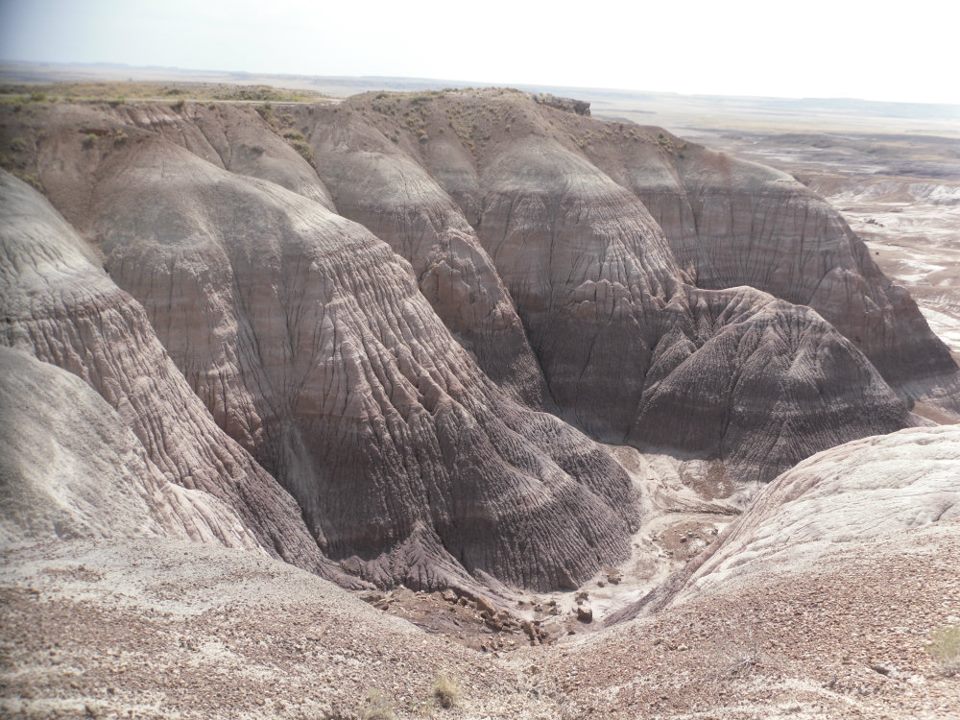 Painted Desert/Petrified Forrest