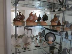 American Pigeon Museum Display 2