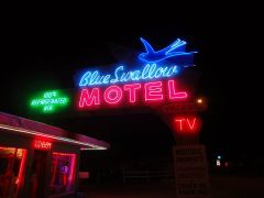 Blue Swallow Neon at Night
