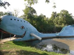 Blue Whale