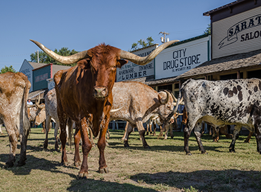 2017 Sept DodgeCity KS Itinerary Description Photo