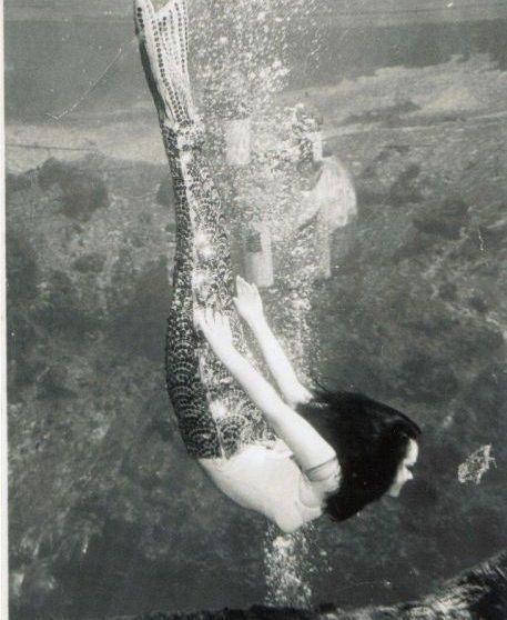 Barbara Wynns Diving